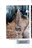 BAHAN PAMERAN TEROKAI HANTU