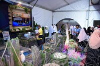 HMA 2025- 24.7.2025 - SEKITAR RERUAI PAMERAN, PANEL BY PANEL DAN CROWD