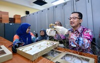 LAWATAN KERJA YBHG DATUK KSU KEMENTERIAN PERPADUAN NEGARA KE JMM