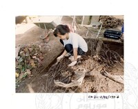 ARKEOLOGI SG. MAS, KEDAH SM: 32-5/ 93 VOL: 3 W