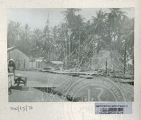 SEJARAH KOLEKSI JOHOR