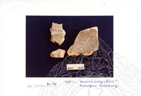 ARKEOLOGI SG. MAS, KEDAH SM. 32-4/93 VOL : 4 W