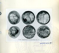 BAHAN PURBA LEMBAH BUJANG, KEDAH 1 (ETNOLOGI)