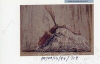 PAMERAN KEINDAHAN ALAM 1994 3