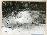 ARKEOLOGI KG. PANCU MUAR JOHOR 1978