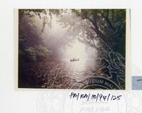 PAMERAN KEINDAHAN ALAM 1994