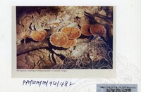 PAMERAN KEINDAHAN ALAM 1994 (2)