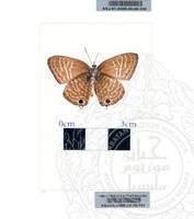 ALAM SEMULAJADI RAMA-RAMA JILID 1