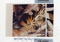 PAMERAN KEINDAHAN ALAM 1994 3