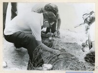 ARKEOLOGI KG. PANCU MUAR JOHOR 1978
