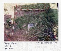 ARKEOLOGI SG. MAS, KEDAH SM: 32-8/95 (JILID 2) (WARNA)