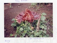 ARKEOLOGI SG. MAS, KEDAH SM: 32-8/95 (JILID 1) (WARNA)