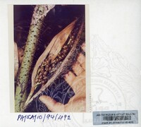 PAMERAN KEINDAHAN ALAM 1994 (2)