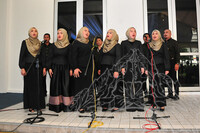 MAJLIS PERASMIAN PAMERAN NEGARA KOTA YG HILANG, PAMERAN PESONA M'SIA & PELANCARAN COE 2020 (ALBUM 2)