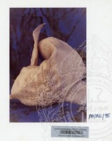 KOLEKSI PAMERAN RAJA KITA 1989 B