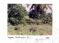 ARKEOLOGI SG. MAS, KEDAH SM: 32-5/ 93 VOL: 1 W