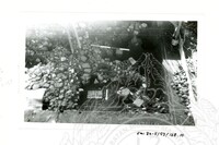 ARKEOLOGI SG. MAS, KEDAH SM: 32-5/ 93 VOL: 5 W