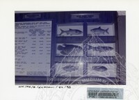 PAMERAN BALAI EKONOMI 1982