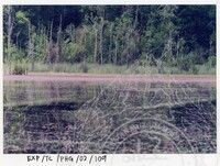 SURVEI KAWASAN SEKITAR TASIK CHINI DAN PENEMPATAN PENDUDUK ORANG ASLI YANG MENGHUNI SEKITAR KAWASANNYA PADA 27 OKTOBER 2002