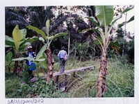 ARKEOLOGI EKSPLORASI L. BERNAM 2001 JILID 1