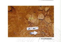 ARKEOLOGI TAMPAN, LENGGONG, PERAK JILID 4