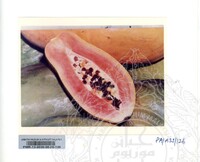 KOLEKSI PAMERAN ALAM SEMULAJADI 1994