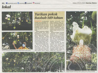 Harian Metro_27-May-2020_ms 16_Tarikan pokok Baobab 149 tahun