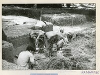 ARKEOLOGI BENDANG DALAM TPK 50 1974