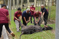 PROGRAM IBADAH QURBAN DAN AQIQAH 1440H 2019