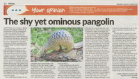 The Star_31-Mac-2020_ms 12_The shy yet ominous pangolin