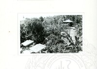 ARKEOLOGI SG. MAS, KEDAH SM, 32-4,93 VOL,3 HP FASA 4 LOKASI, POKOK, LAWATAN, CERAMAH, AKTIVITI - HITAM/ PUTIH. HASSAN