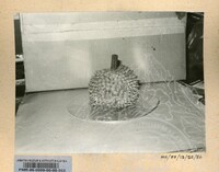 PERASMIAN PAMERAN DURIAN RAJA SEGALA BUAH