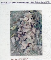 ARKEOLOGI SUNGAI MAS KEDAH 1992 FASA 1 W JILID 3