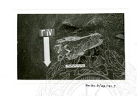 ARKEOLOGI SG. MAS, KEDAH SM: 32-5/ 93 VOL 4 W