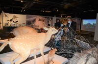 'SEMBANG OTAI' SEMPENA PAMERAN KEAJAIBAN TASKIDERM