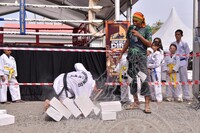 HMA 2025- 26.7.2025 -  PERTUNJUKAN TAEKWONDO