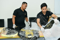 PEMULANGAN KOLEKSI ISTANA NEGARA DARI GALERI 1 KE ISTANA KL