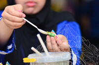 PROGRAM OUTREACH MUZIUM NEGARA DI KOLEJ ISLAM ANTARABANGSA, KUALA LUMPUR.