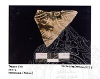 ARKEOLOGI SG. MAS, KEDAH SM: 32-5/ 93 (ARTIFAK)