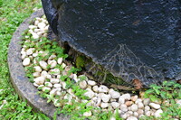 PENDOKUMENTASIAN KONDISI TIANG KELIERING BAGI TUJUAN KONSERVASI