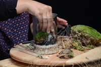 BENGKEL TERRARIUM PUSPANITA