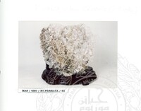 ALAM SEMULAJADI BATU PERMATA JILID 1