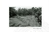 ARKEOLOGI SG. MAS, KEDAH SM : 32-3 / 93 VOL : 9 HP