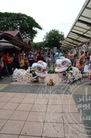 CERIA & MUZIUM SEMPENA SAMBUTAN TAHUN BARU CINA