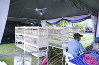 KARNIVAL KOTA KUALA KEDAH