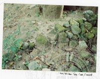 BANGUNAN MUZIUM ARKEOLOGI LEMBAH BUJANG KEDAH - JILID 4