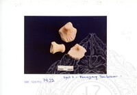 ARKEOLOGI SG. MAS, KEDAH SM. 32-4/93 VOL : 4 W