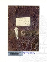 KOLEKSI PAMERAN ARKEOLOGI