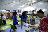 HMA 2024 - SPEED DATING WITH MUSEUM PRACTITIONERS