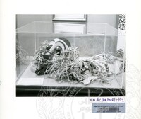 ATURCARA PAMERAN WARISAN BORNEO 1992